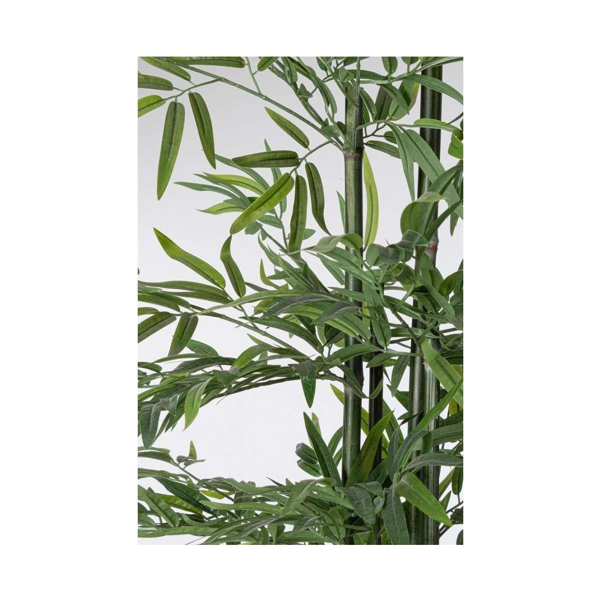 Pianta Bamboo con Vaso cm.H190 | Bizzotto
