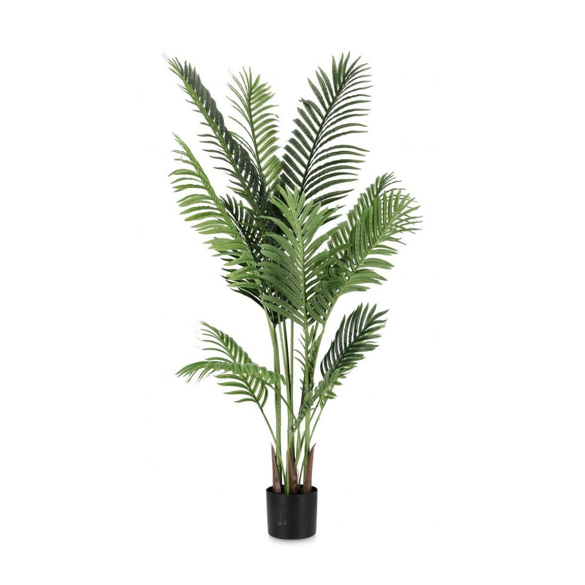 Pianta Kenzia con Vaso cm.15 Foglie  cm.H140 | Bizzotto