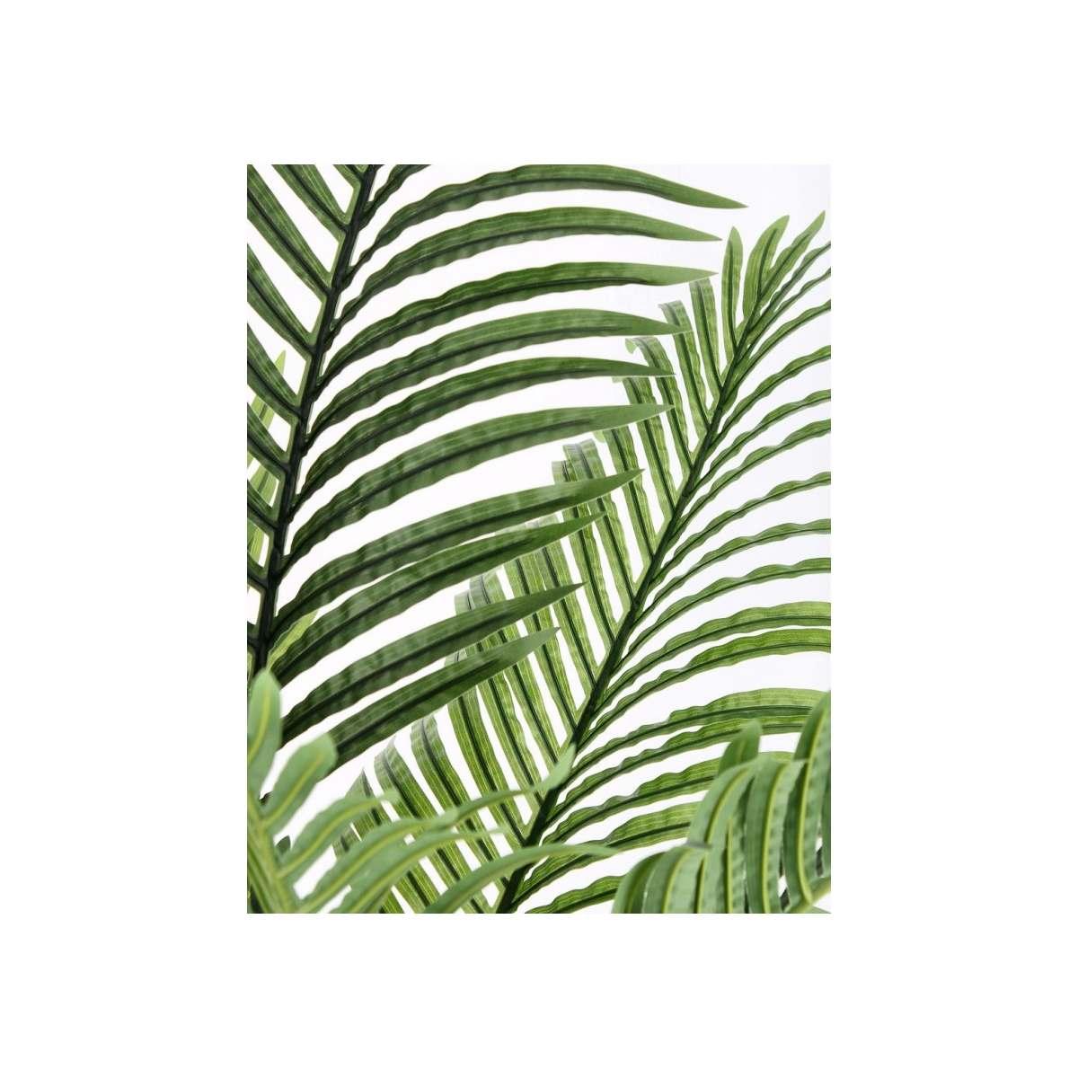 Pianta Kenzia con Vaso cm.15 Foglie  cm.H140 | Bizzotto