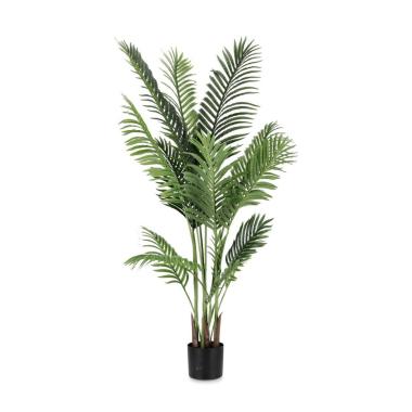 Pianta Kenzia con Vaso cm.15 Foglie  cm.H140 | Bizzotto