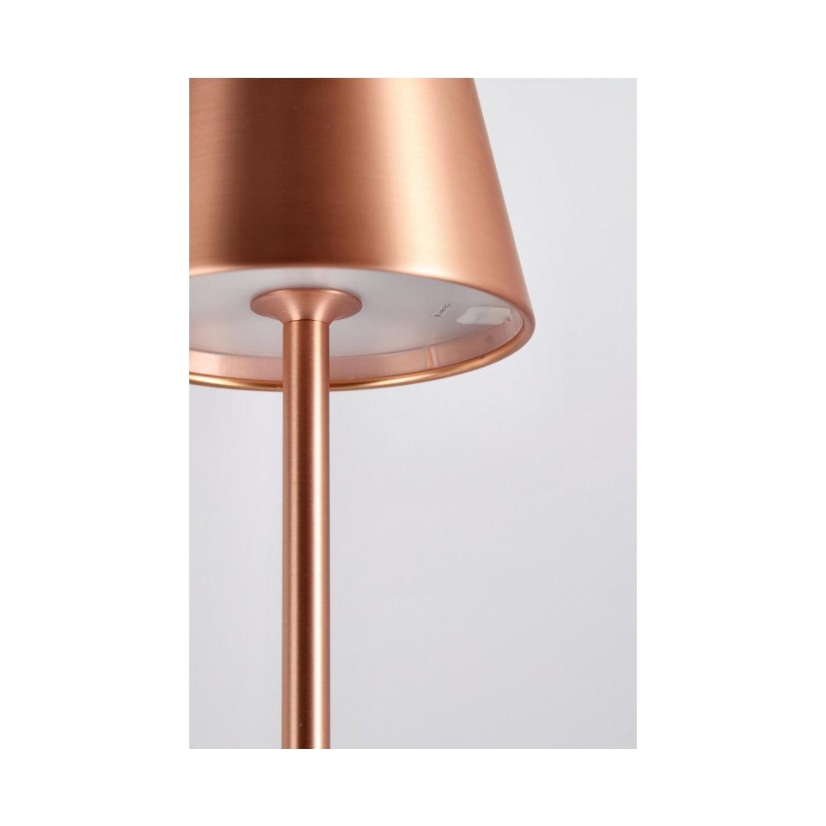 Piantana LED Etna Bronzo cm.H115 | Bizzotto