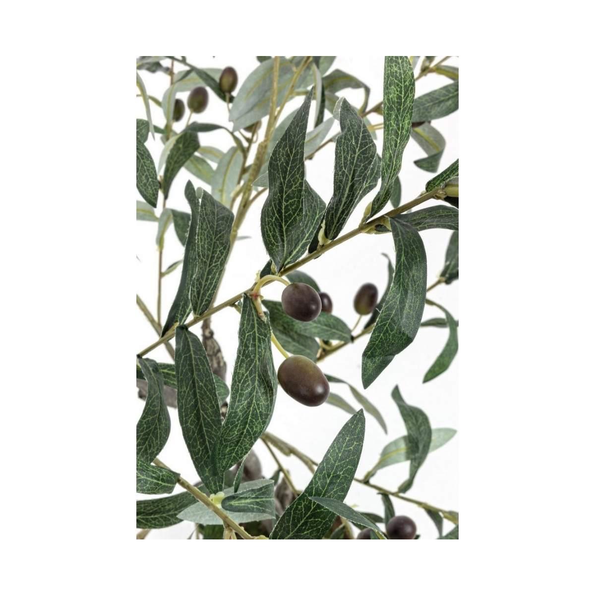 Pianta Ulivo con Vaso 492 Foglie  cm.H120 | Bizzotto