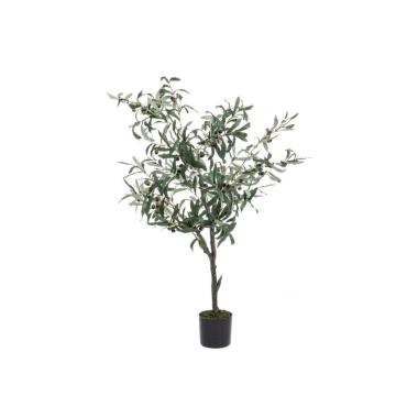 Pianta Ulivo con Vaso 492 Foglie  cm.H120 | Bizzotto