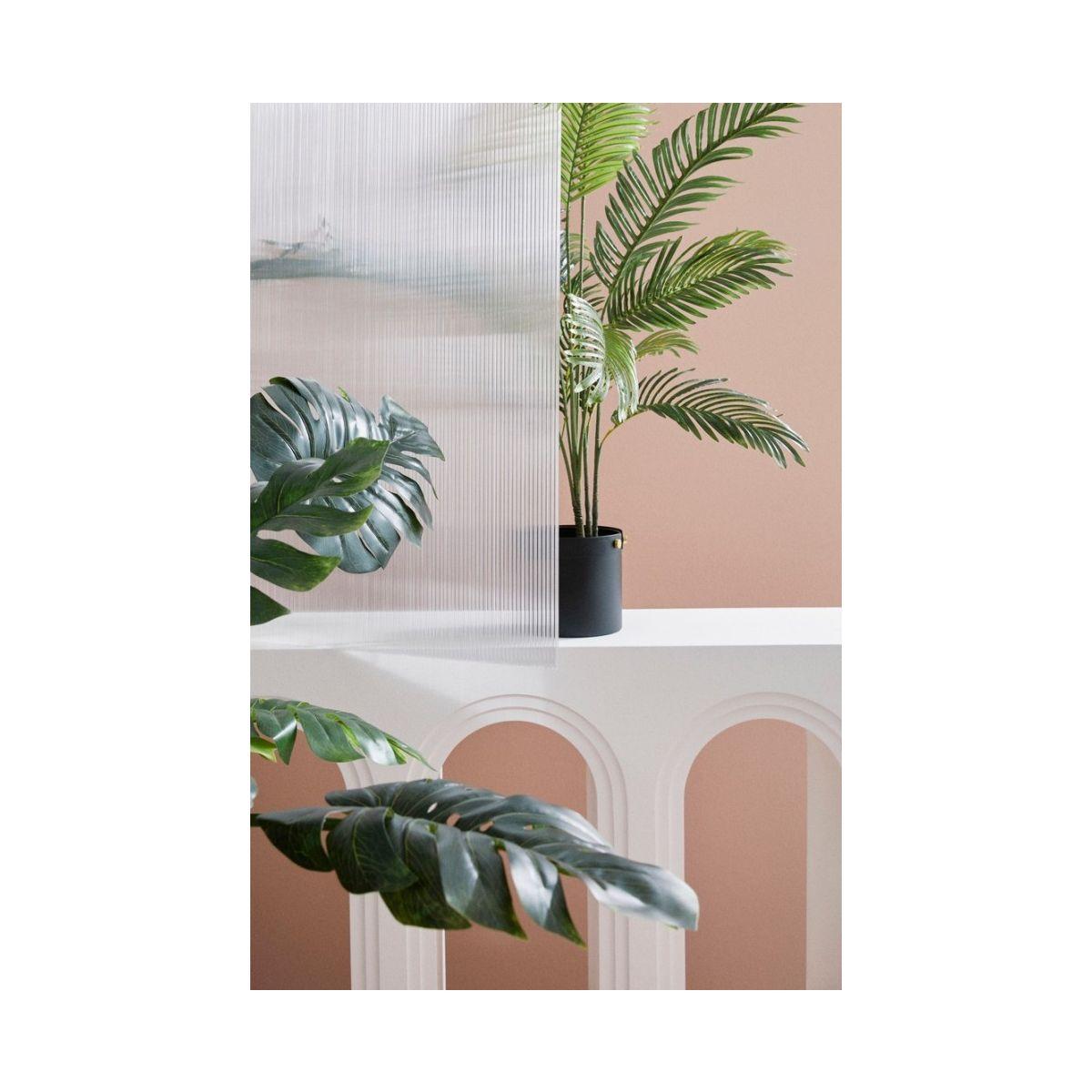 Pianta Filodendro con Vaso cm.13 Foglie  cm.H150 | Bizzotto