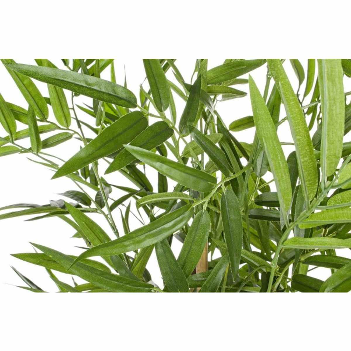 Pianta Bamboo con Vaso cm.H130 | Bizzotto