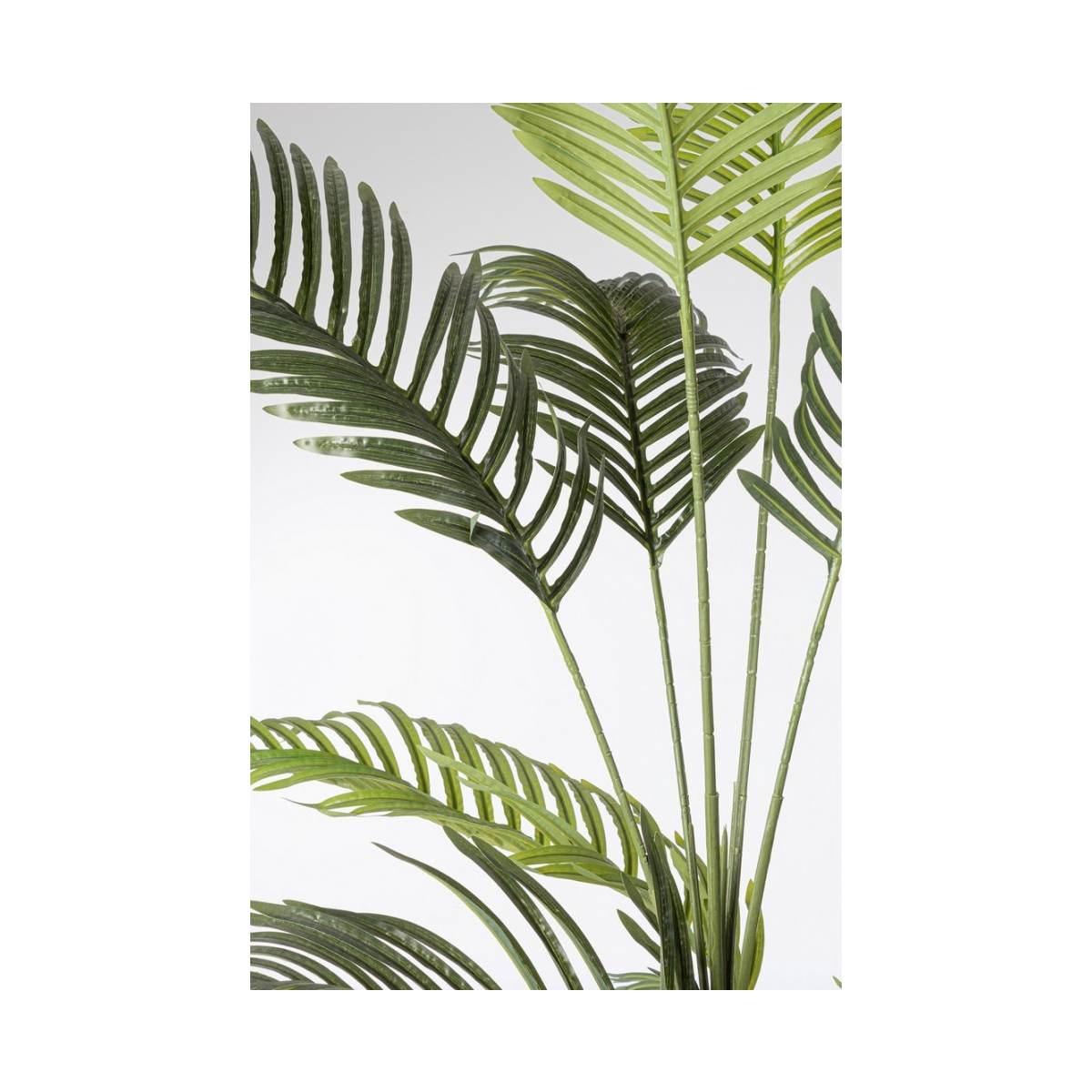 Pianta Kenzia con Vaso cm.18 Foglie  cm.H180 | Bizzotto