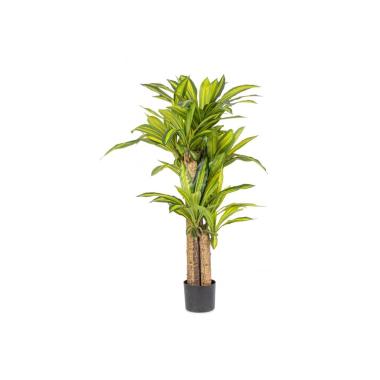 Pianta Dracaena con Vaso cm.H130 | Bizzotto