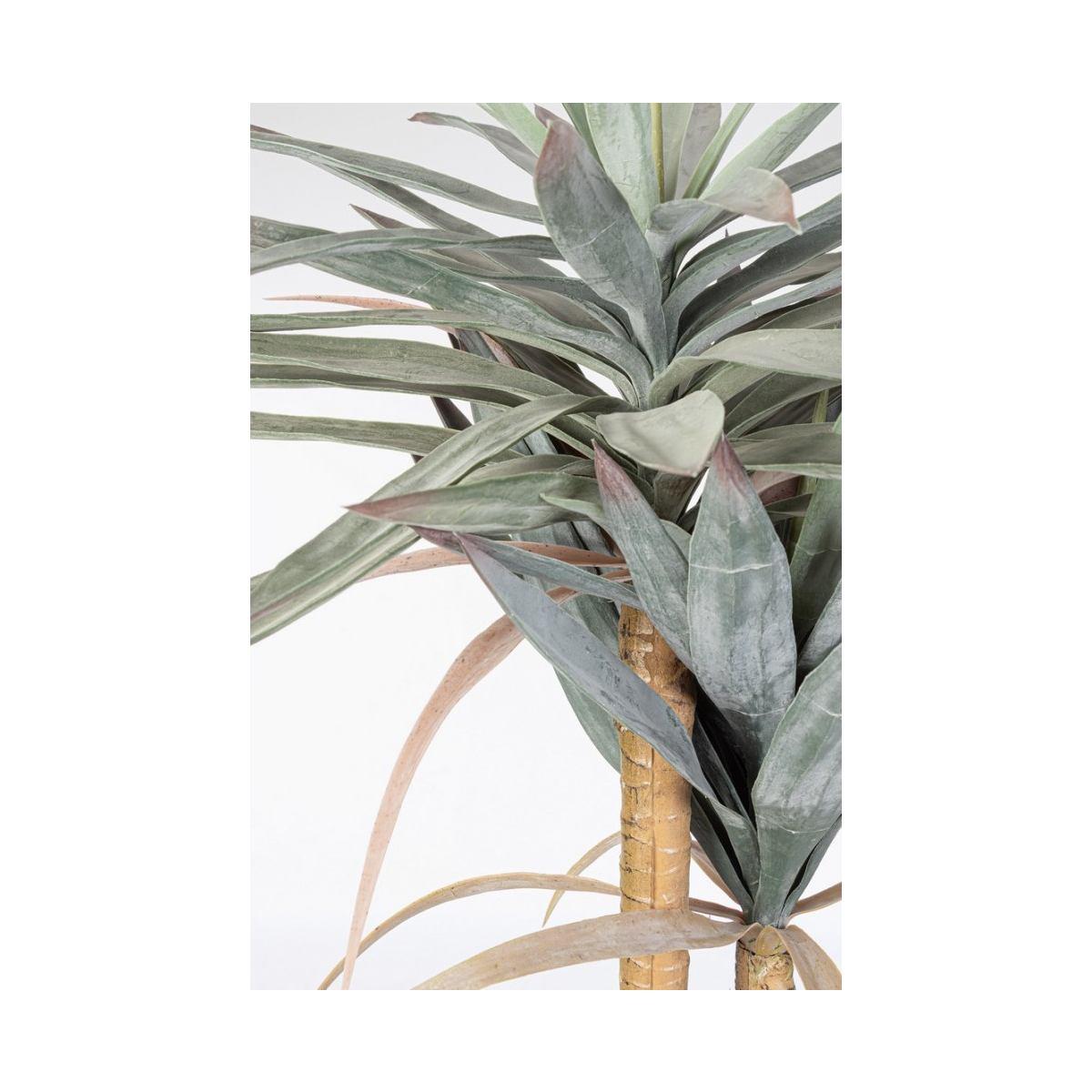Pianta Yucca con Vaso cm.120 Foglie  cm.H152 | Bizzotto