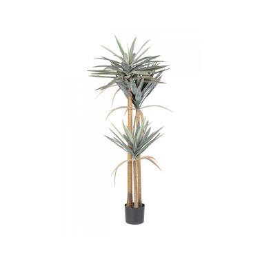 Pianta Yucca con Vaso cm.120 Foglie  cm.H152 | Bizzotto