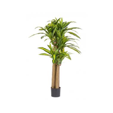 Pianta Dracaena con Vaso cm.H150 | Bizzotto