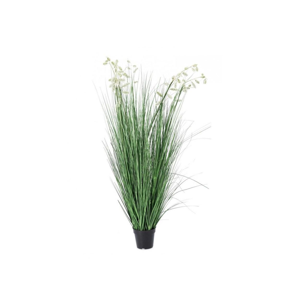 Pianta Grevillea Bianco con Vaso x9 Foglie   cm.H150 | Bizzotto