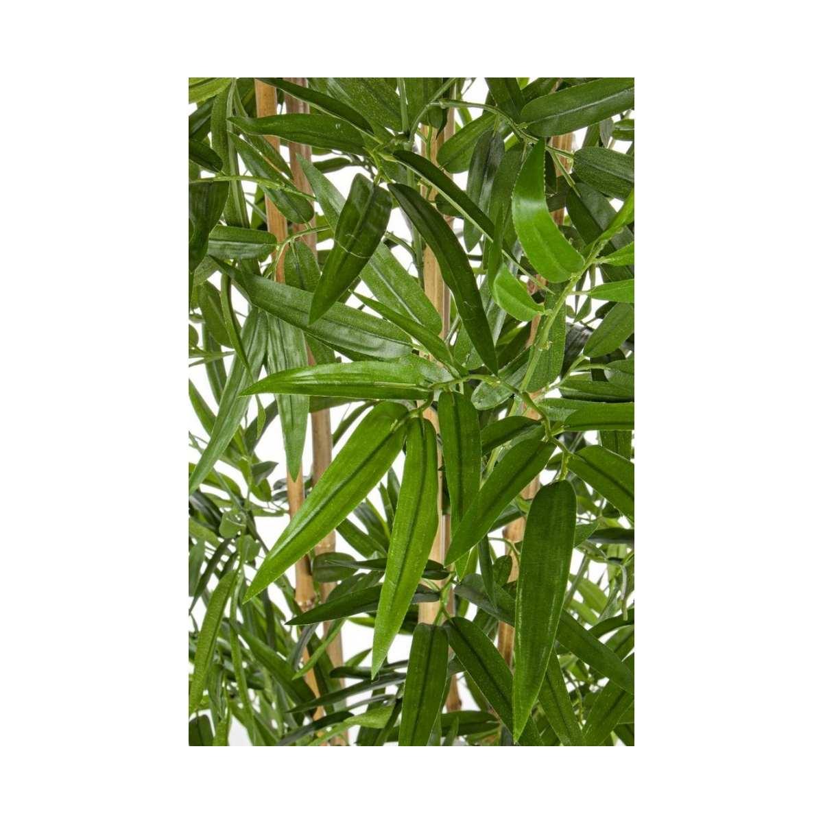 Pianta Bamboo con Vaso cm.H185 | Bizzotto