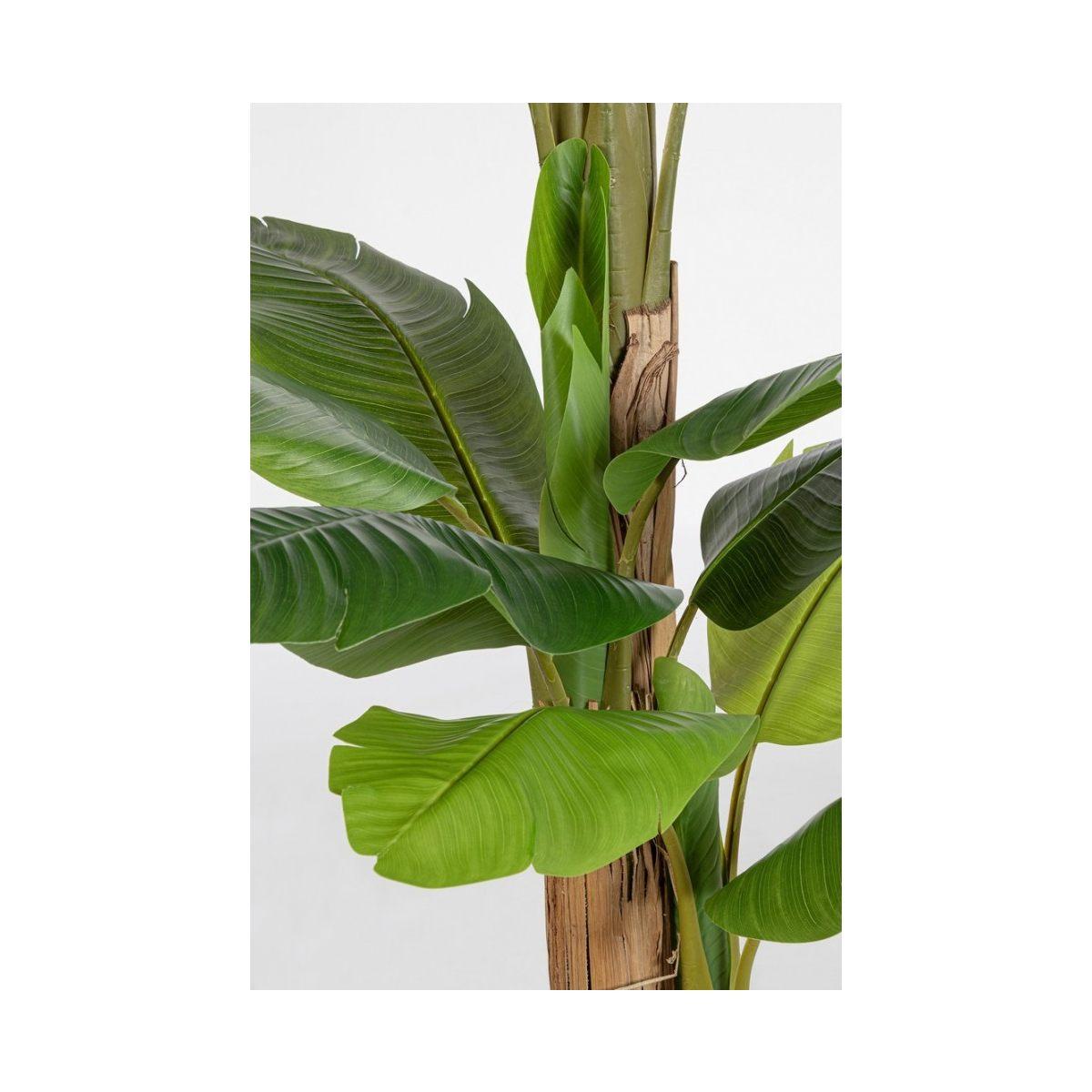 Pianta Banano con Vaso 20 Foglie cm.H200 | Bizzotto