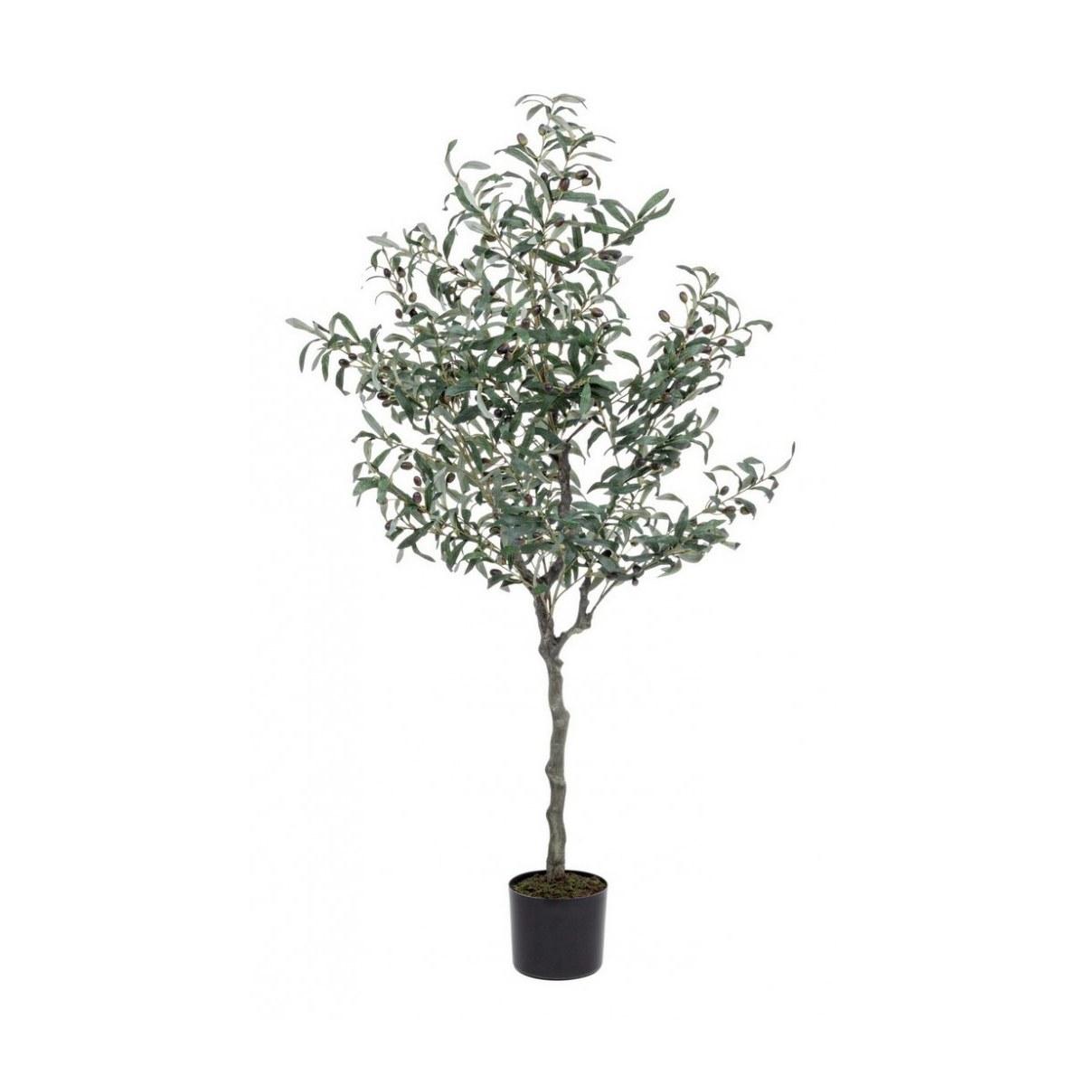 Pianta Ulivo con Vaso 984 Foglie  cm.H150 | Bizzotto