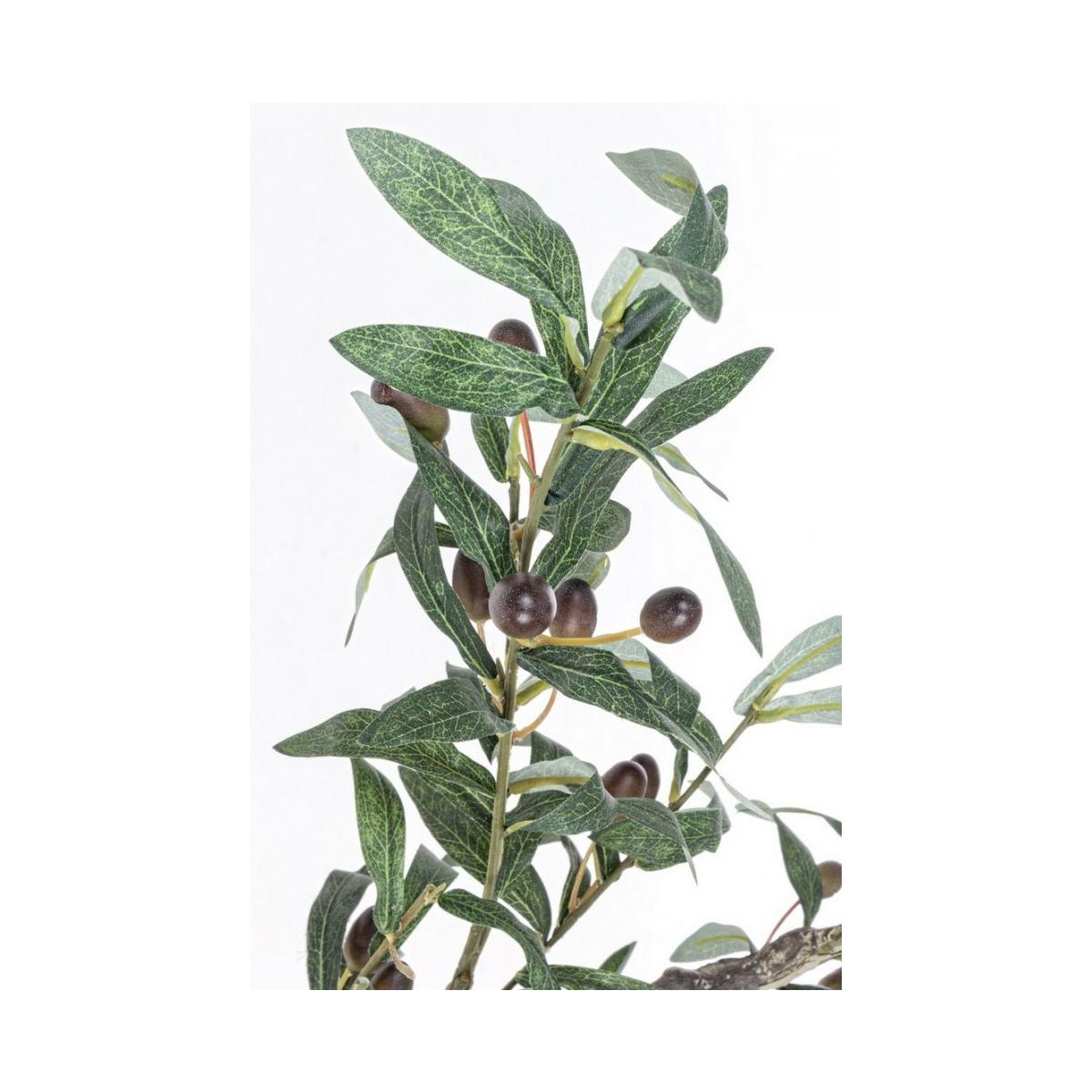 Pianta Ulivo con Vaso 984 Foglie  cm.H150 | Bizzotto