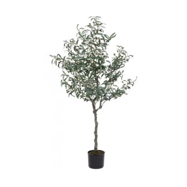Pianta Ulivo con Vaso 984 Foglie  cm.H150 | Bizzotto