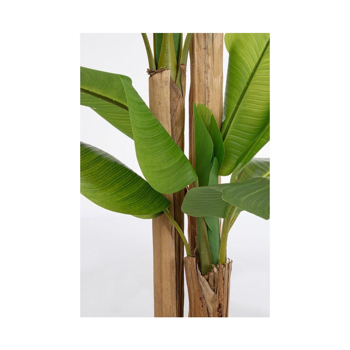 Pianta Banano con Vaso 24 Foglie cm.H280 | Bizzotto