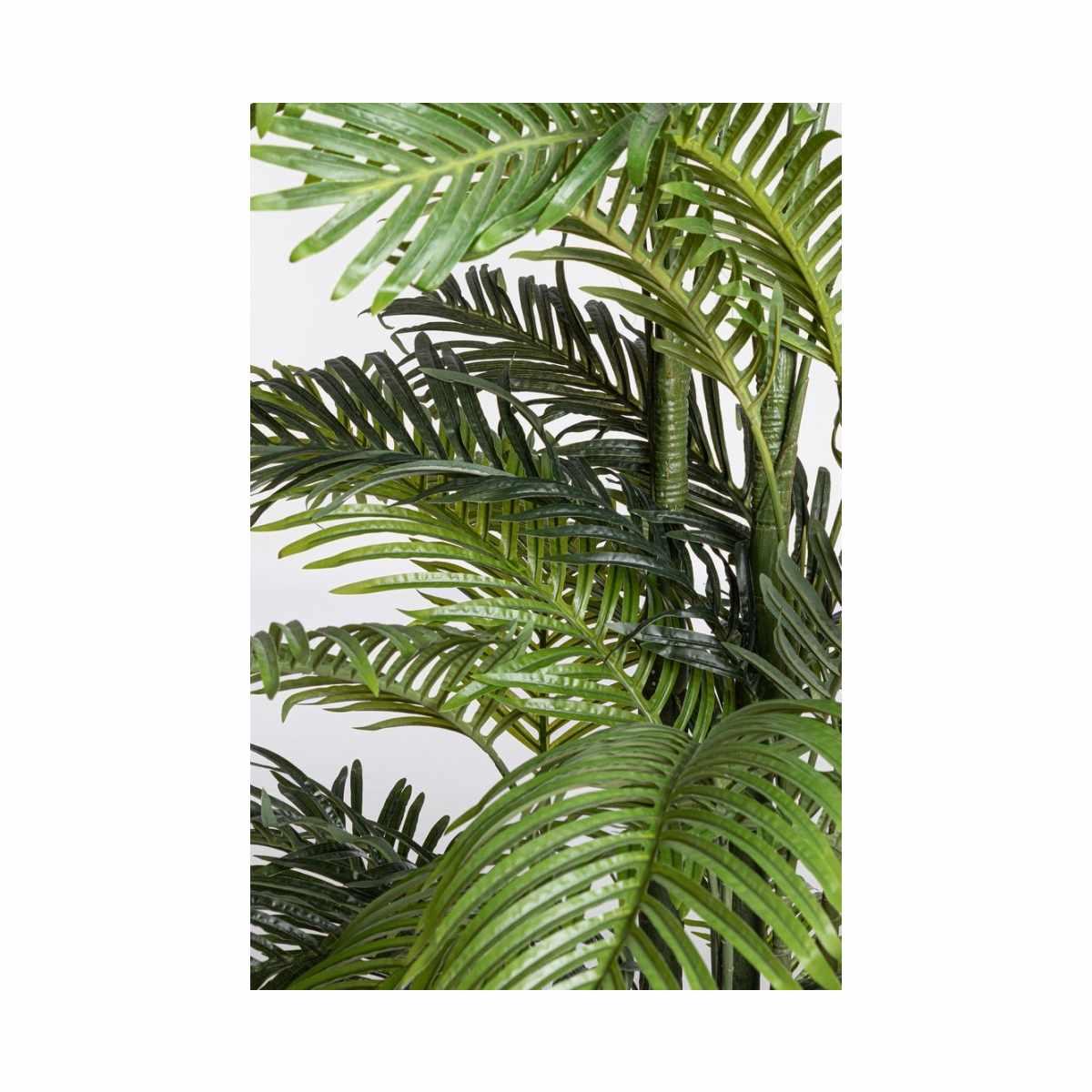 Pianta Kenzia con Vaso 33 Foglie  cm.H210 | Bizzotto