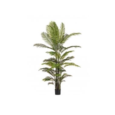 Pianta Kenzia con Vaso 33 Foglie  cm.H210 | Bizzotto