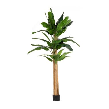 Pianta Banano con Vaso 30 Foglie cm.H320 | Bizzotto