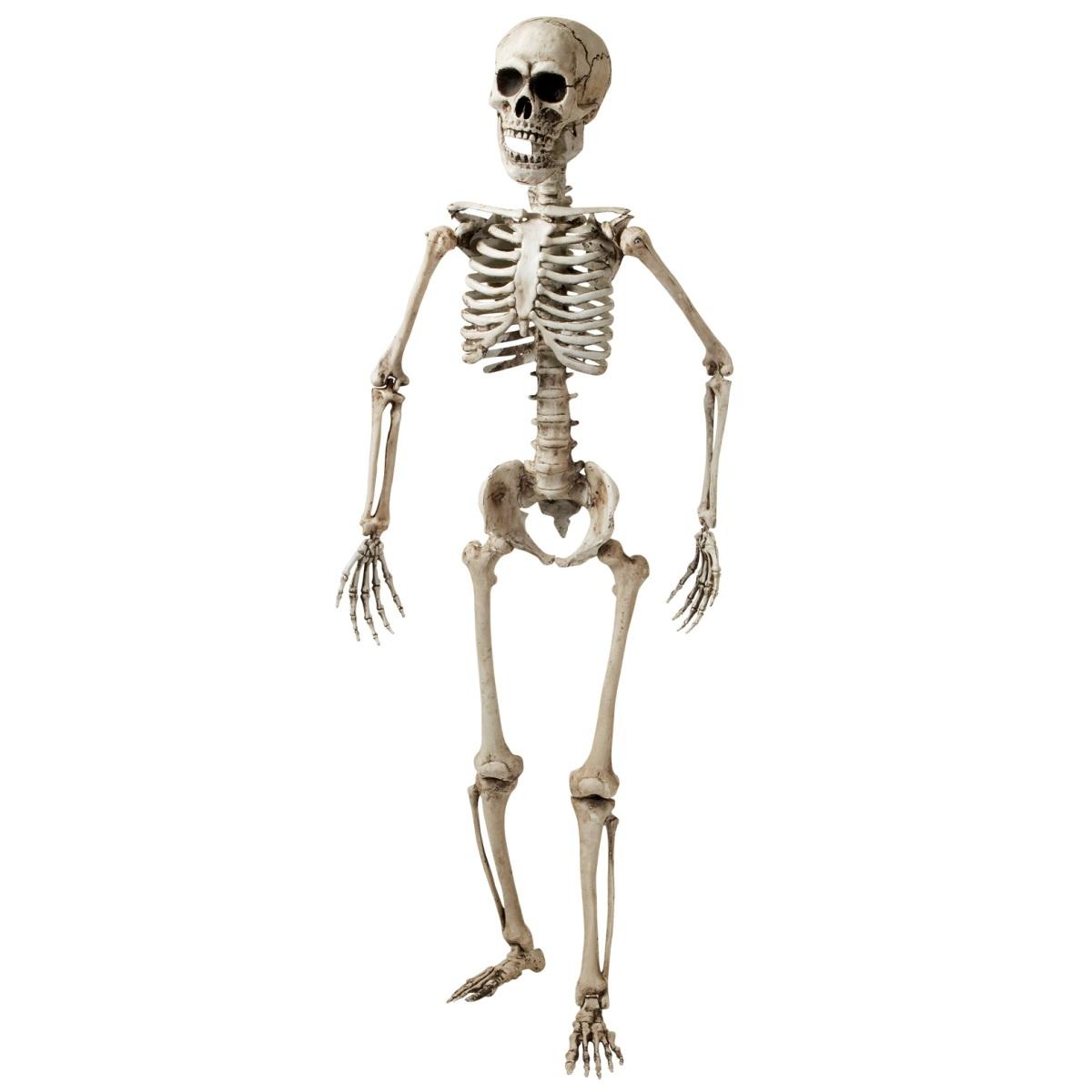 Scheletro Posabile cm.160 |Widmann