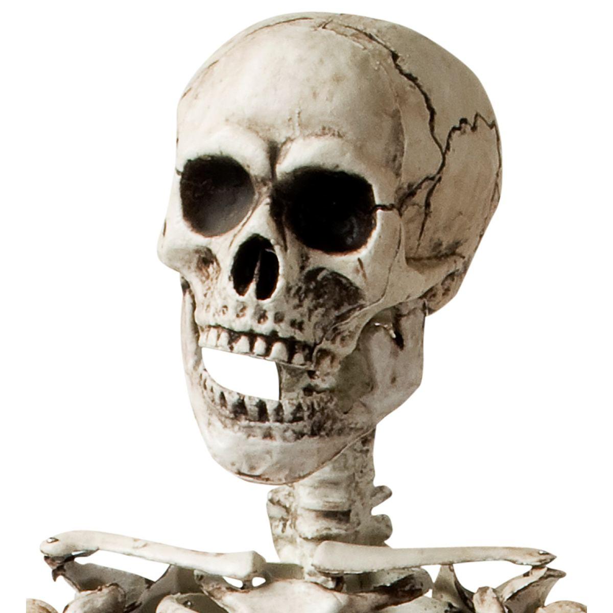 Scheletro Posabile cm.160 |Widmann