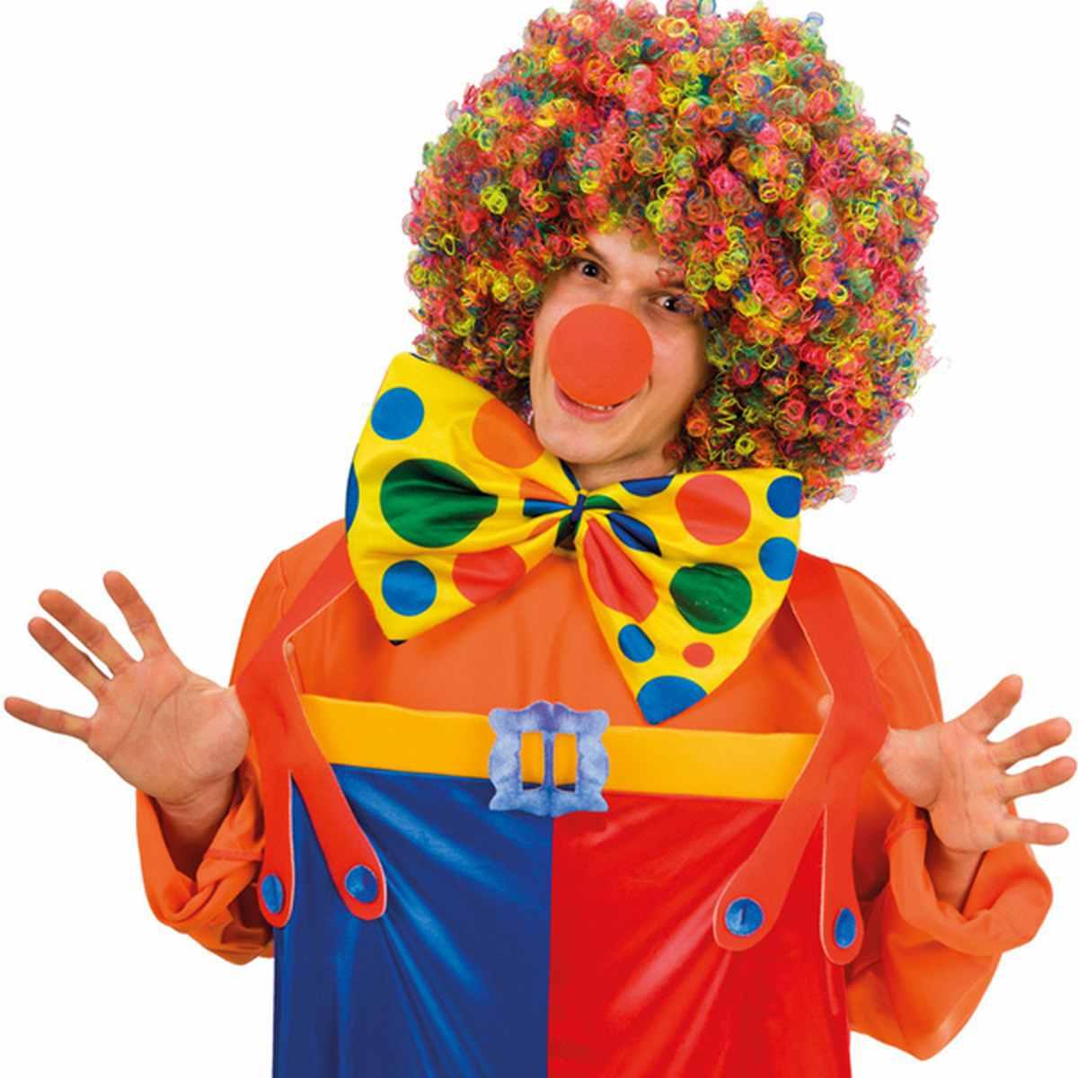 Papillon Multicolor e Accessori Clown per Carnevale - M2 Store