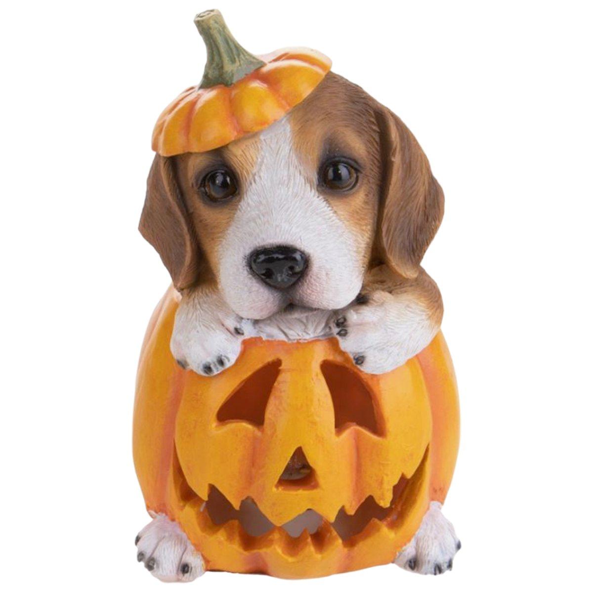 Zucca Resina con Cane e Luce Led cm.10x16 |Bianchi Dino