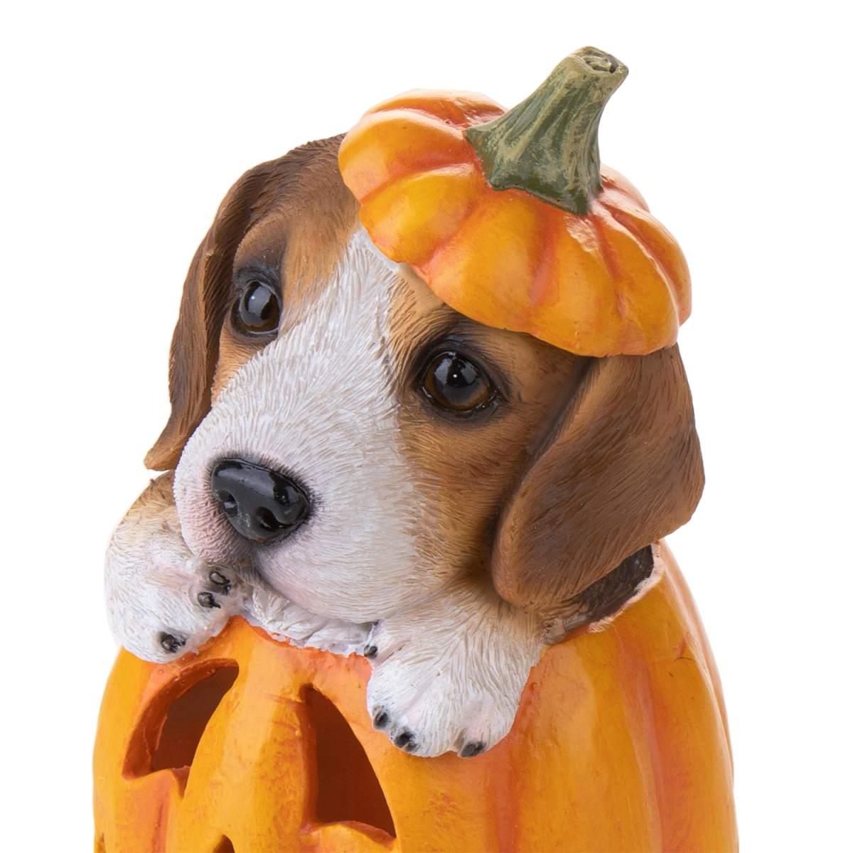 Zucca Resina con Cane e Luce Led cm.10x16 |Bianchi Dino