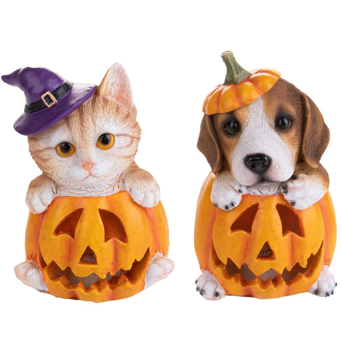 Zucca Resina con Cane e Luce Led cm.10x16 |Bianchi Dino