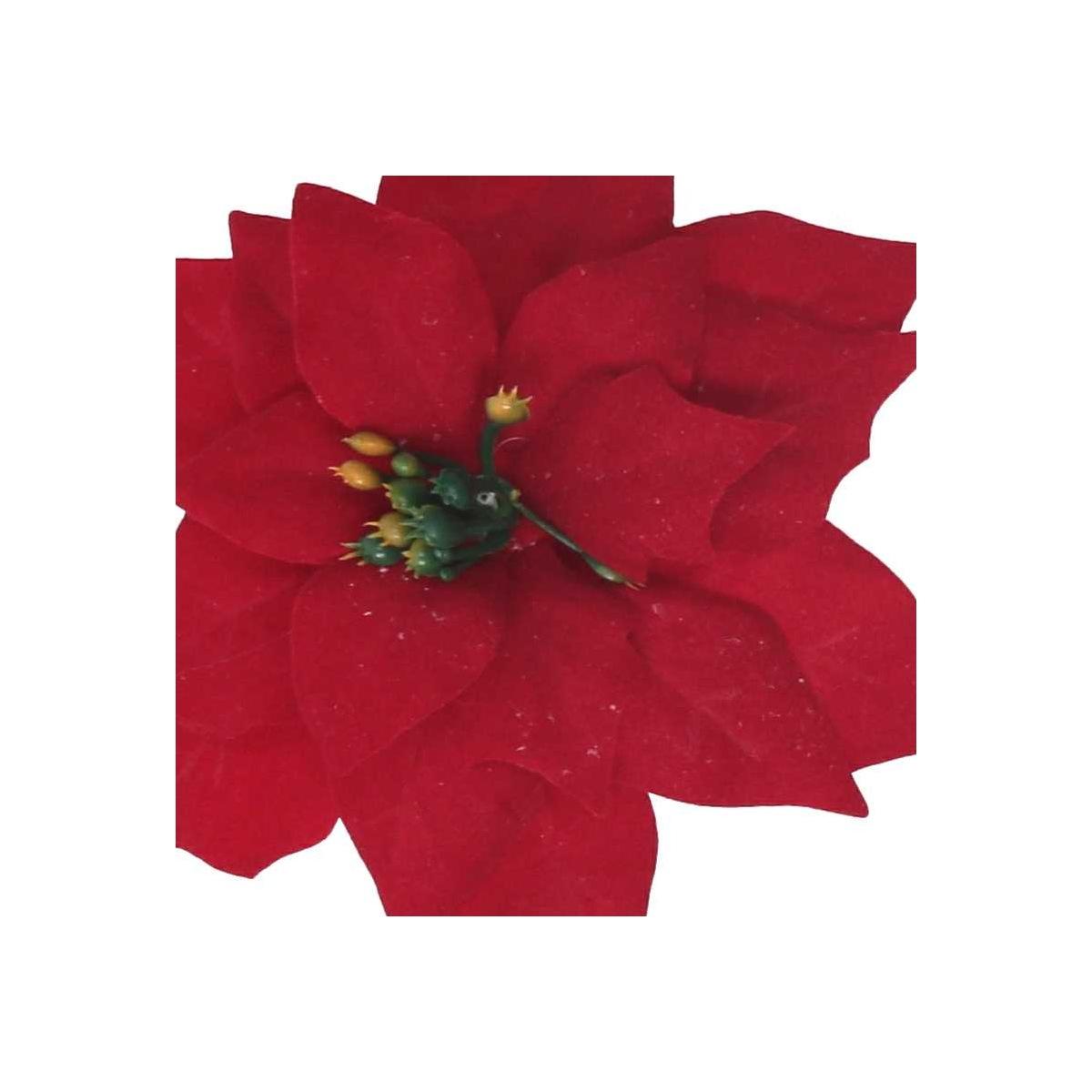 Fiore Natale Stella Rossa cm.14x20 |Vacchetti