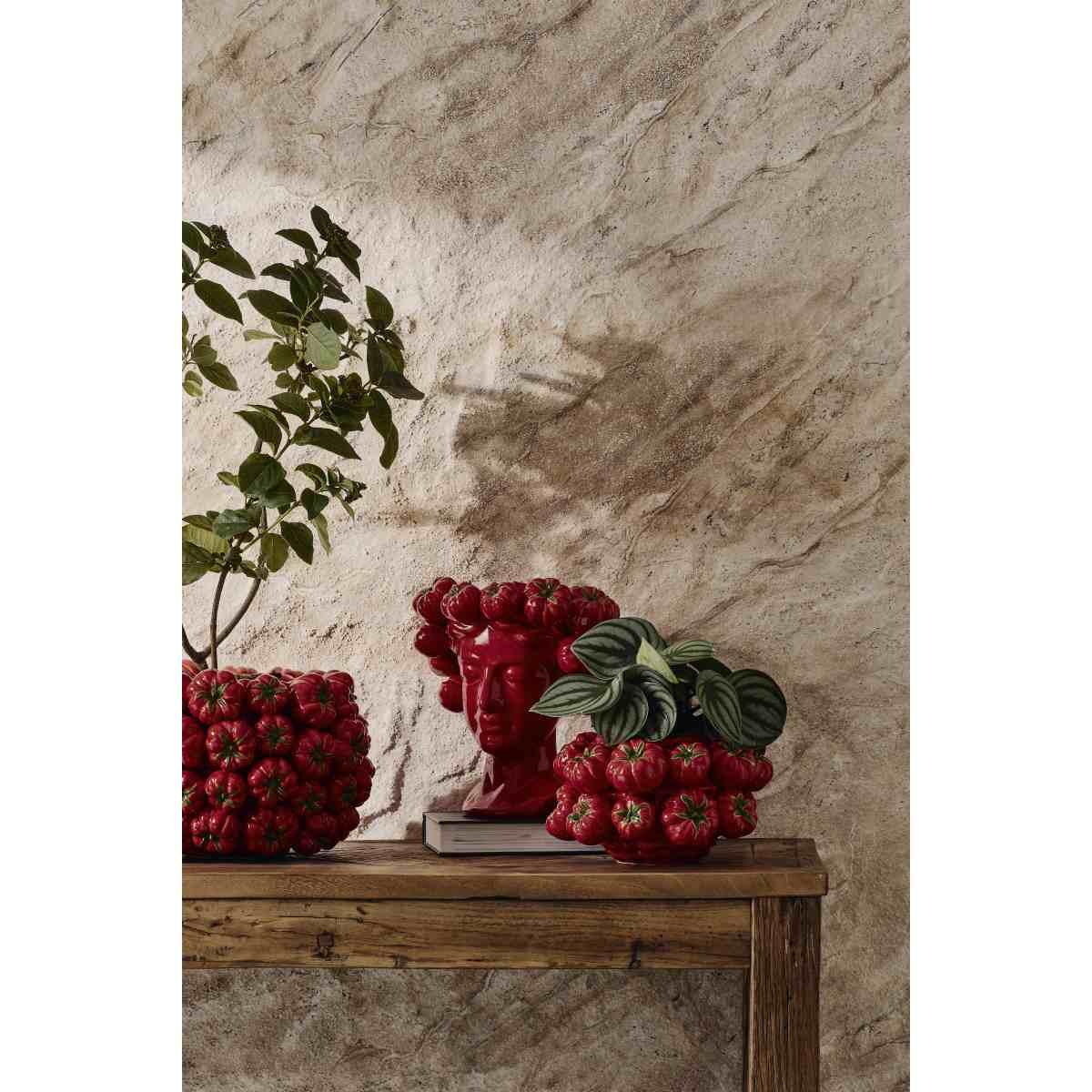 Vaso Ceramica Pomodori Rossi cm.33x22 | Bizzotto