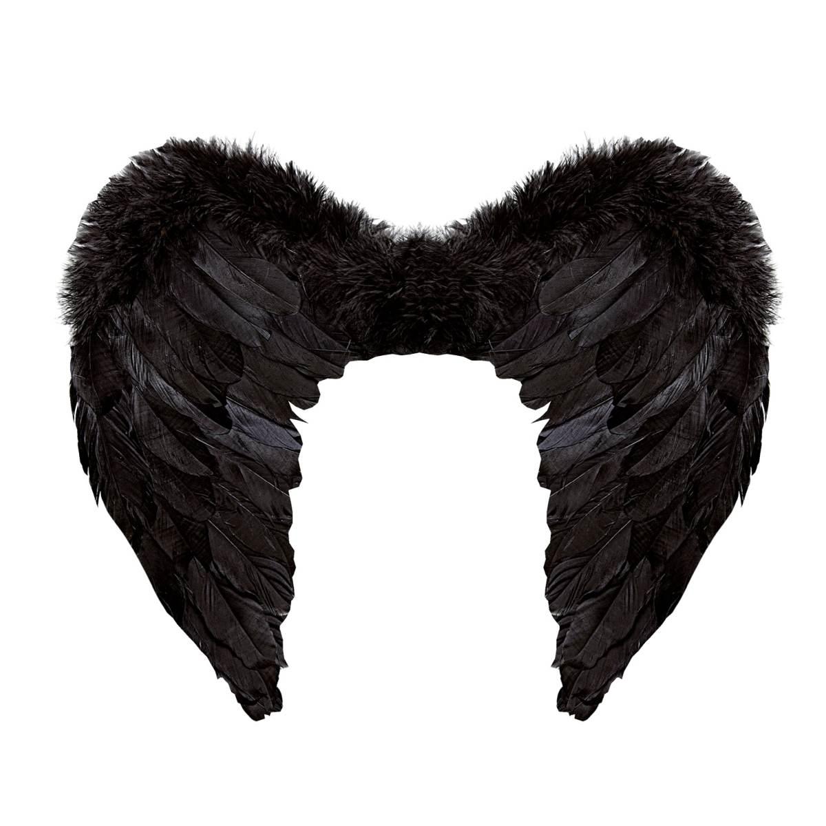 Ali Piumate Nere cm.50x40 |Widmann