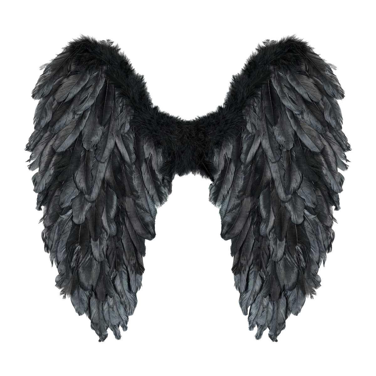 Ali Piumate Nere cm.50x50 |Widmann