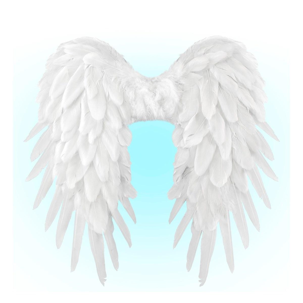 Ali Piumate Bianche cm.50x50 |Widmann