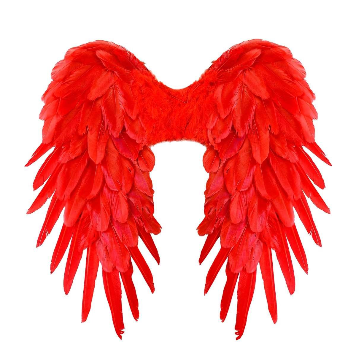 Ali Piumate Rosse cm.50x50 |Widmann