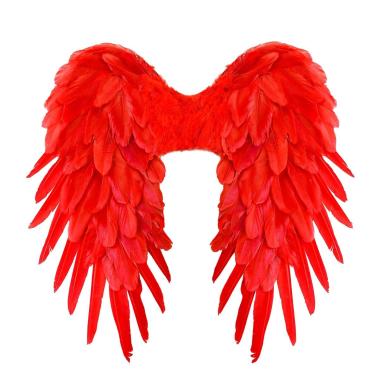 Ali Piumate Rosse cm.50x50 |Widmann