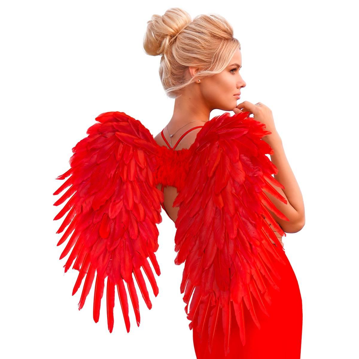 Ali Piumate Rosse cm.80x60 |Widmann