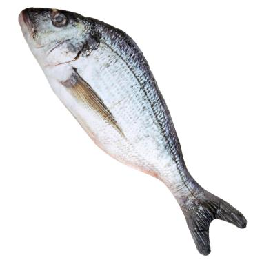 Pesce Tessuto cm.55 |Widmann