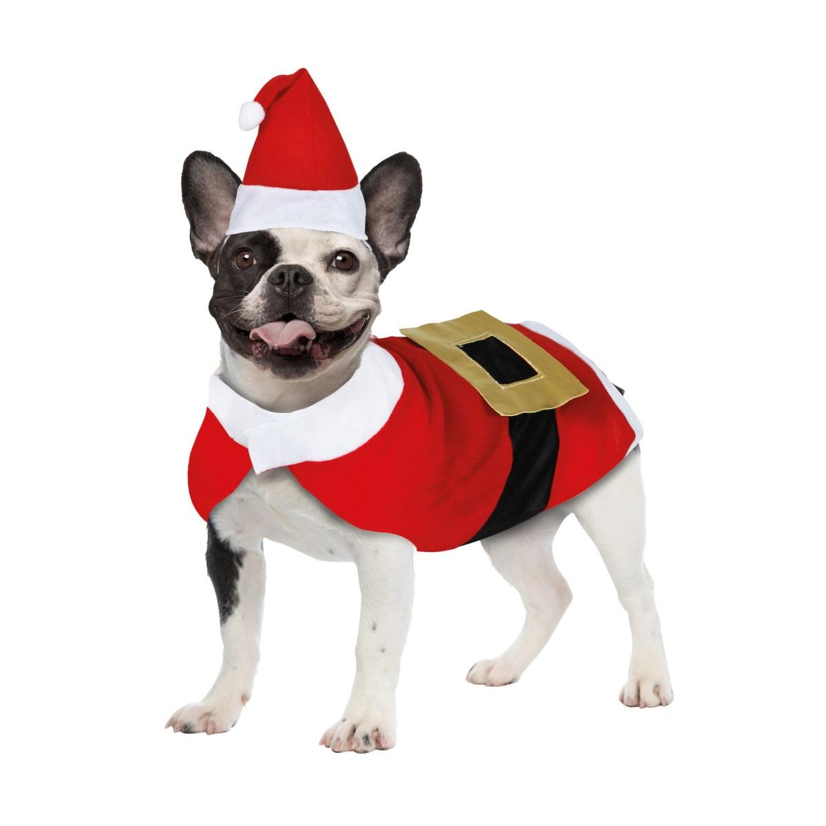 Costume Natale Babbo per Cani | Guirca