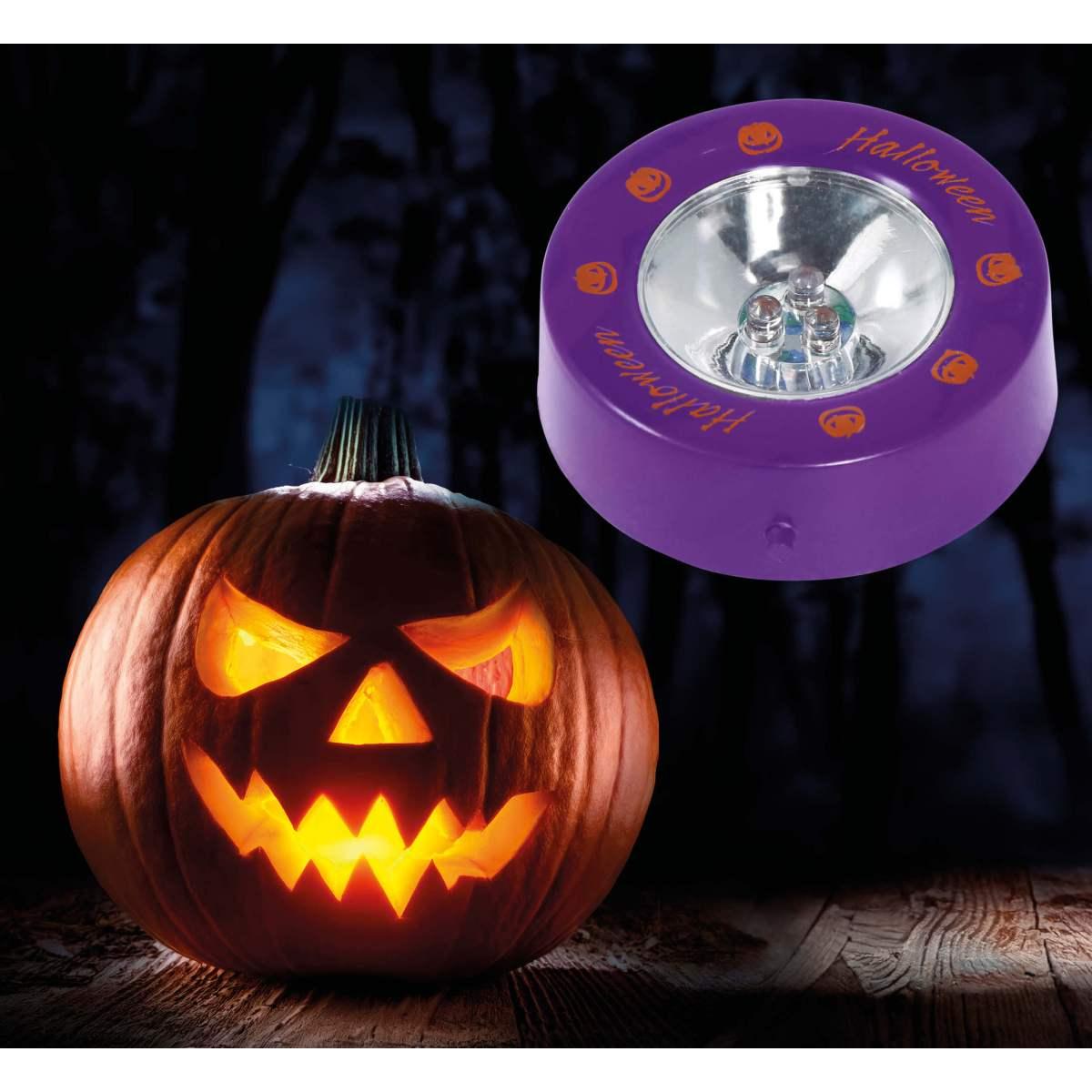 Luce LED per Zucche cm.Ã˜6 | Guirca