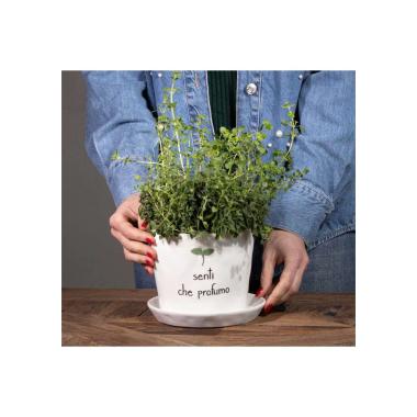 Vaso Ceramica Simple Day con Scritta Senti Che Profumo cm.15 |_327