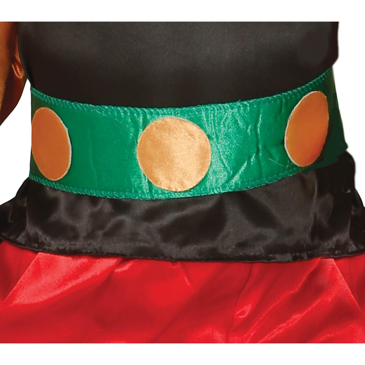 Costume asterix