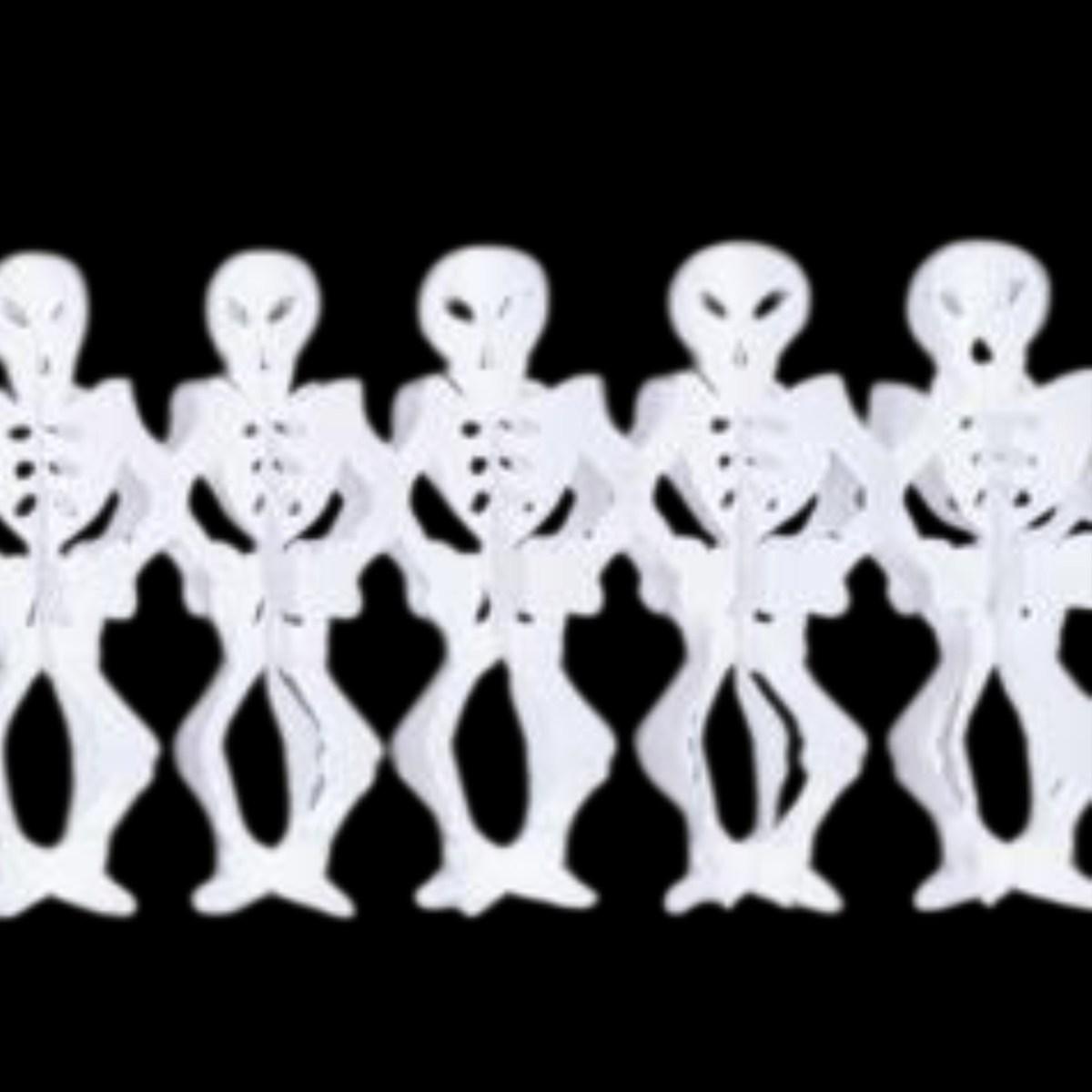 Festone Hallowenn con Scheletri mt.3 |Carnival Toys